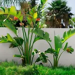 Three Doors Complex Vilă *