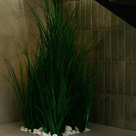 Three Doors Complex 别墅 *