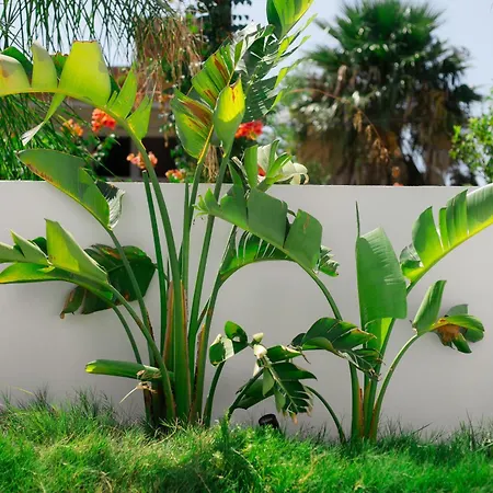 Three Doors Complex 别墅 *