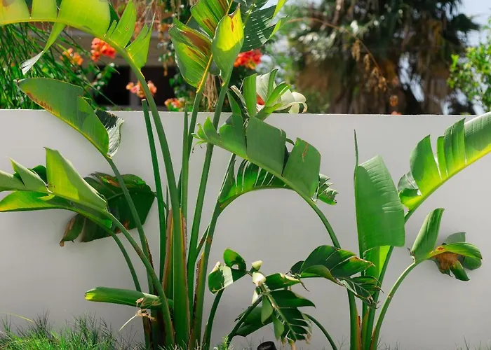 Three Doors Complex וילה *